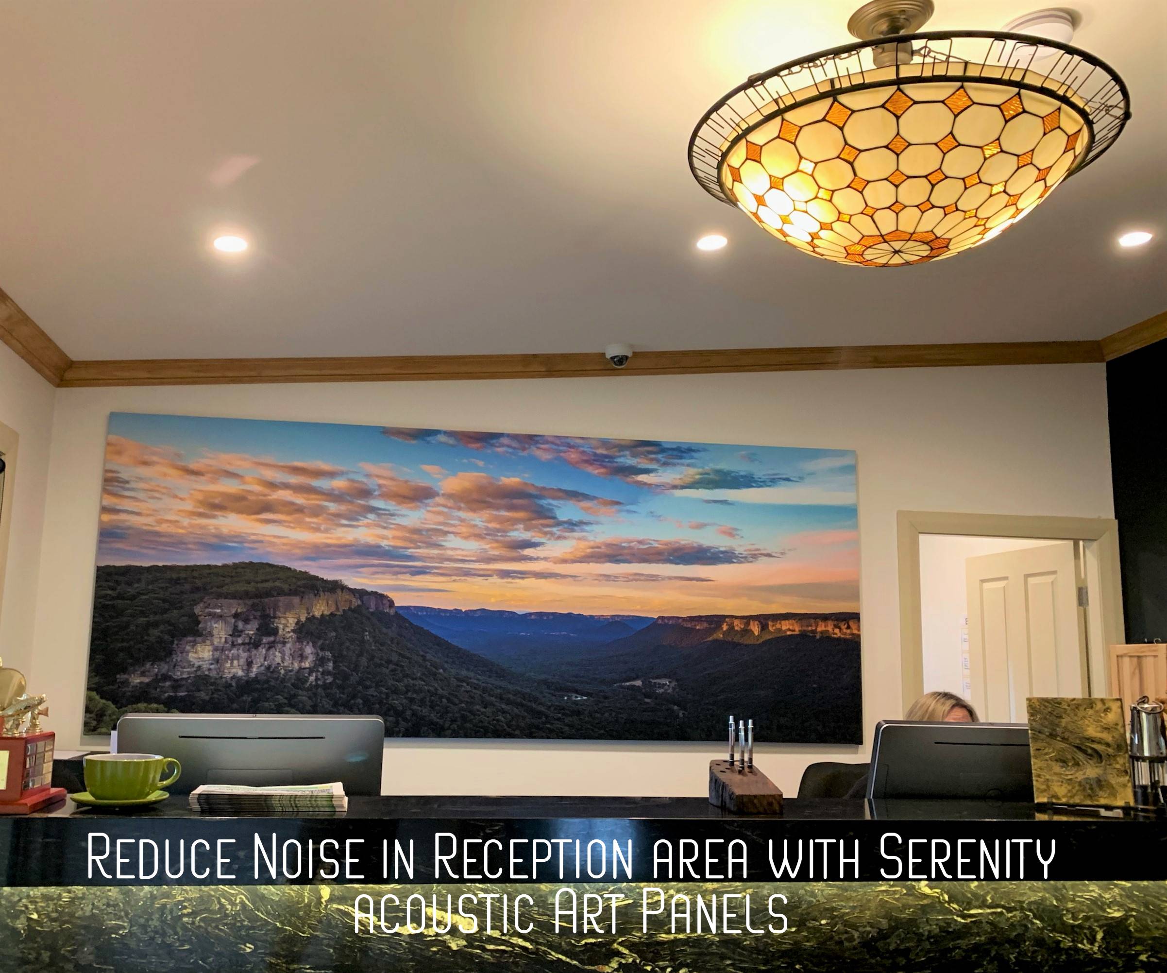 Reduce Noise in Reception Areas