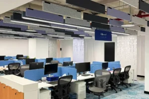 Decrasound acoustic baffles suspended from the ceiling to reduce reverberation and improve sound clarity in a modern office environment.