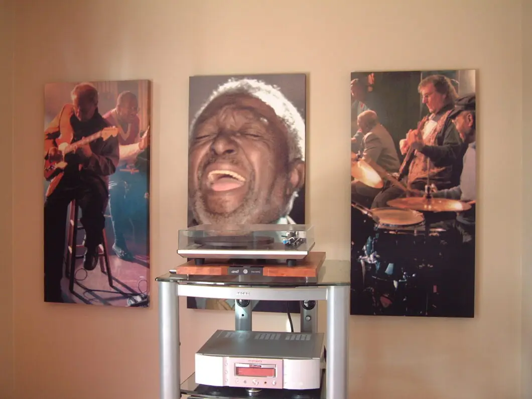 Serenity Acoustic Art Panel.Serenity Acoustic Art Panels withmusic-themed prints installed along a hallway wall.