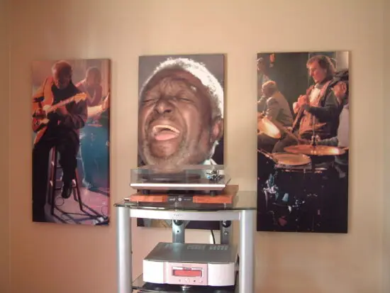 Serenity Acoustic Art Panel.Serenity Acoustic Art Panels withmusic-themed prints installed along a hallway wall.