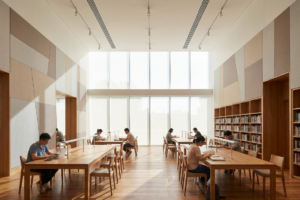Library acoustic panels installed in modern interior creating quiet study spaces
